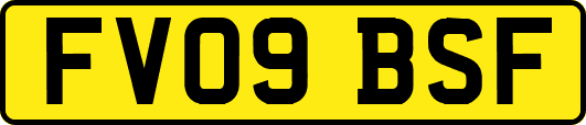 FV09BSF