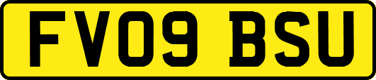 FV09BSU