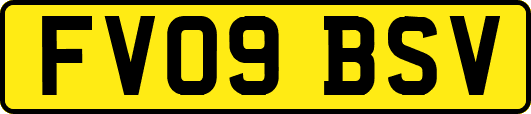 FV09BSV
