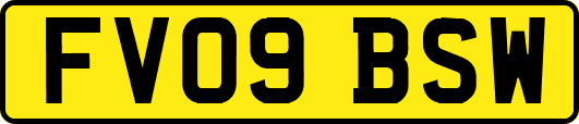 FV09BSW