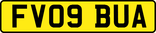 FV09BUA