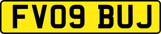 FV09BUJ