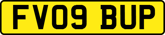 FV09BUP