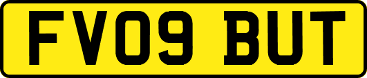 FV09BUT