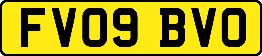 FV09BVO