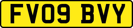 FV09BVY