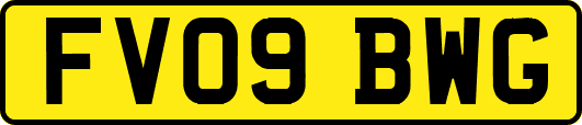 FV09BWG