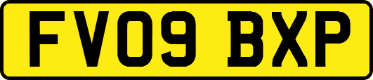 FV09BXP
