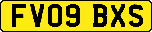 FV09BXS
