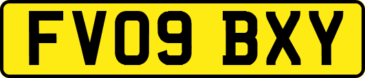 FV09BXY