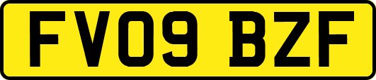 FV09BZF