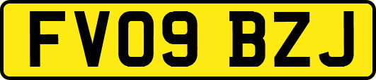 FV09BZJ