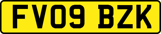 FV09BZK