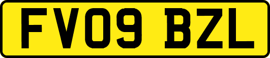 FV09BZL