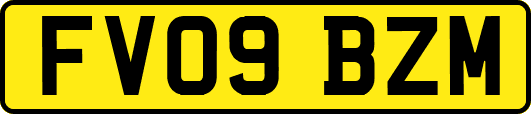 FV09BZM