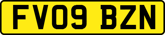 FV09BZN