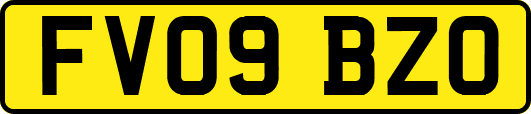 FV09BZO