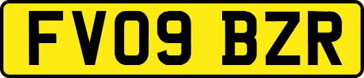 FV09BZR