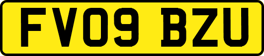 FV09BZU