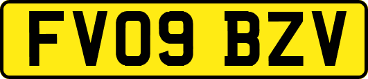 FV09BZV