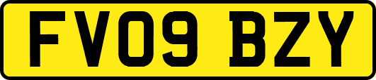 FV09BZY