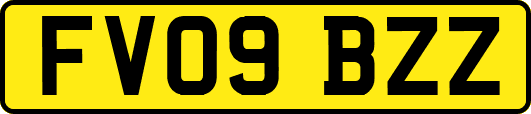 FV09BZZ