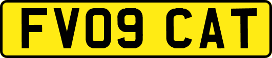 FV09CAT