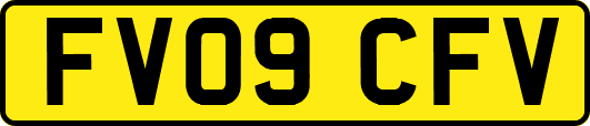 FV09CFV