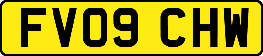 FV09CHW