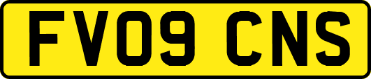 FV09CNS