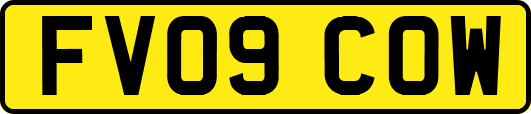 FV09COW