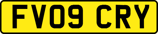 FV09CRY