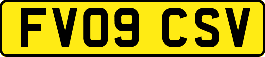 FV09CSV