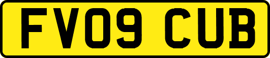 FV09CUB