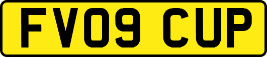 FV09CUP
