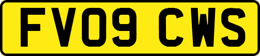 FV09CWS