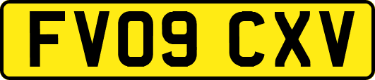 FV09CXV