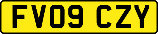 FV09CZY