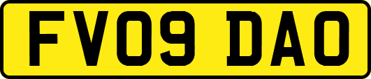 FV09DAO