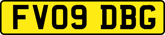 FV09DBG