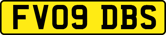 FV09DBS