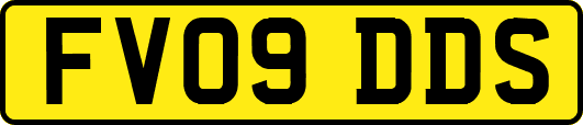 FV09DDS