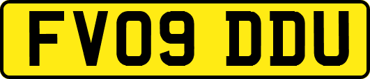 FV09DDU