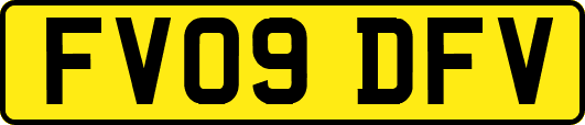 FV09DFV