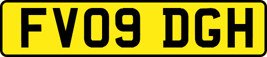 FV09DGH