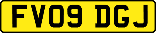 FV09DGJ
