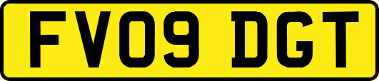 FV09DGT