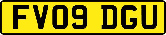 FV09DGU