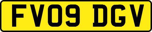 FV09DGV