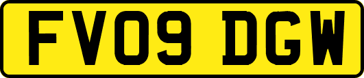 FV09DGW